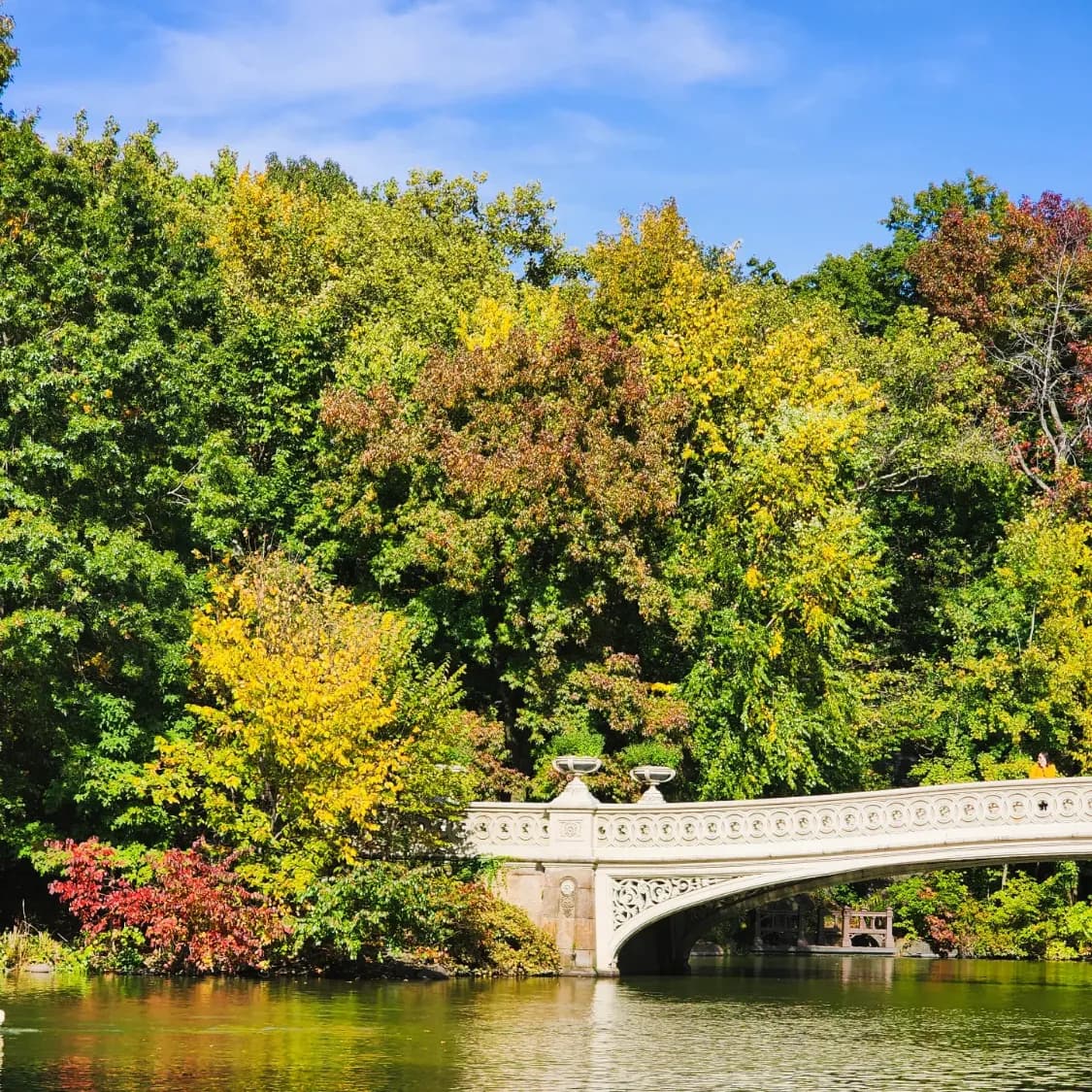 Bow bridge in autumn