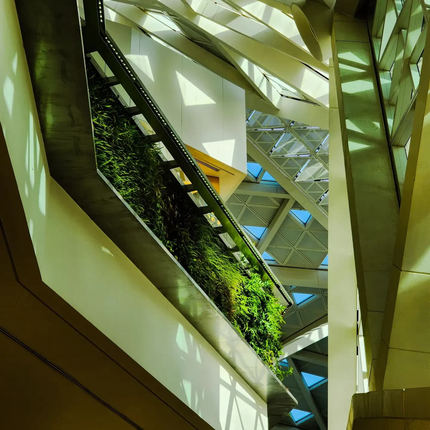 Atrium with a green wall